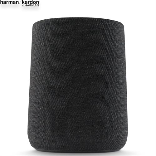 Loa Harman Kardon Citation ONE 7